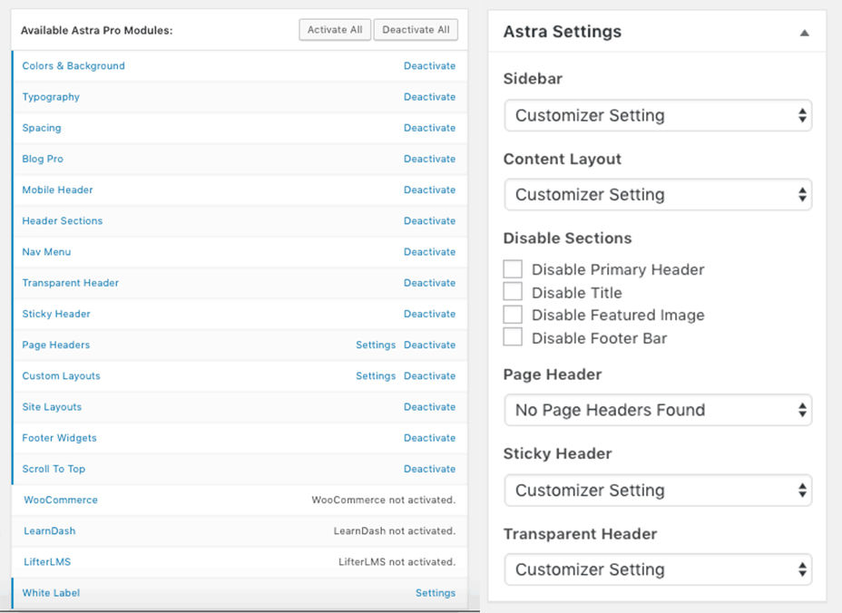 Astra Pro Modules and Page Settings