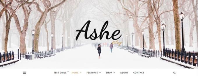 Best free Woocommerce themes Ashe
