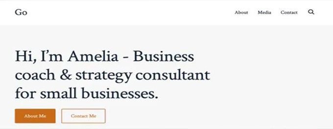 Best free WordPress themes Go