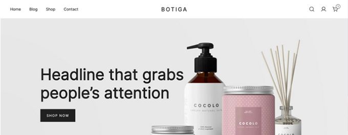 The best Wordpress themes Botiga