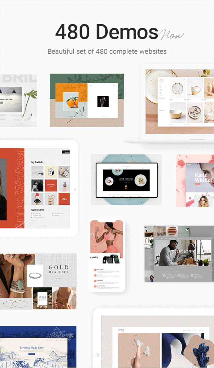 Bridge theme review demo's Bridge theme review demo's