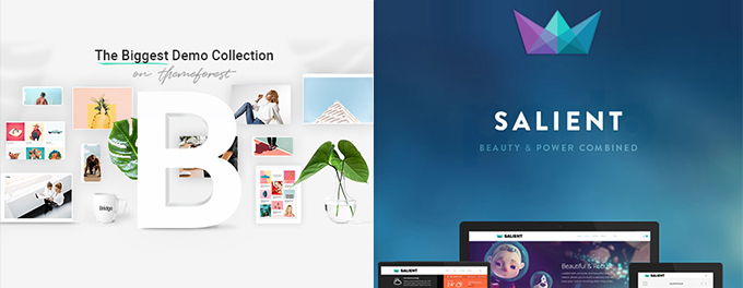 Bridge vs Salient comparison Bridge vs Salient