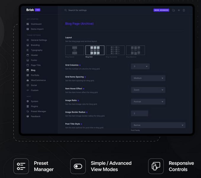 Brisk theme review settings Brisk theme review settings