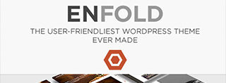 Enfold Theme review
