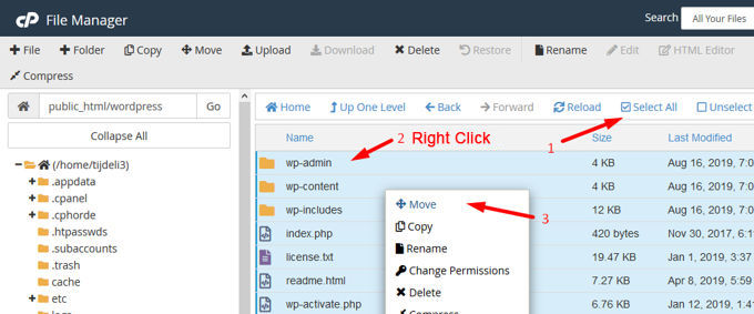 Extract Wordpress 2 Extract Wordpress 2