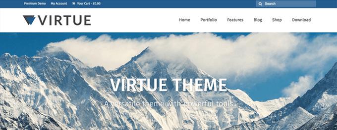 fastest Wordpress themes Virtue