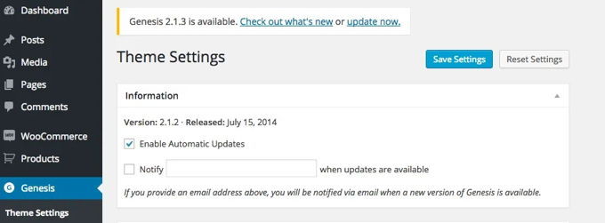 Genesis Framework review upgrades Genesis Framework upgrades
