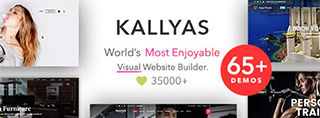 Kallyas theme review, great for webshops and web sites