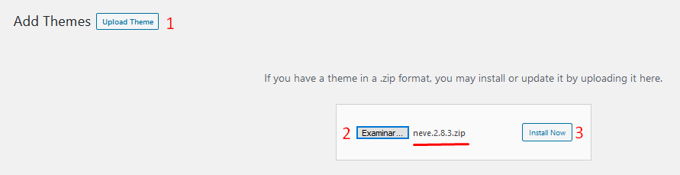 Neve Theme install Neve Theme review installation