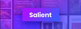 Salient Theme review - Fast premium theme
