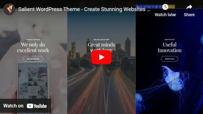 Salient Theme Video Salient Theme Video