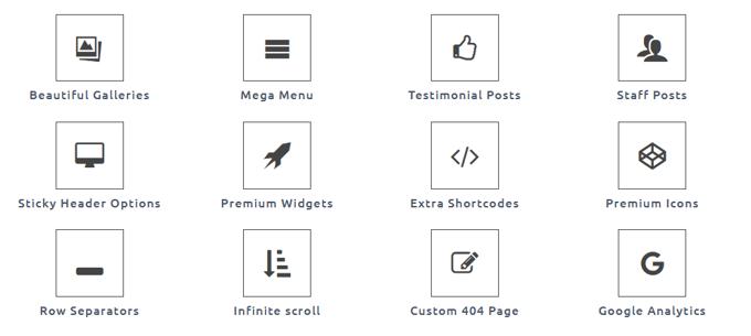 Virtue review Extra features Virtue Theme review Extra features