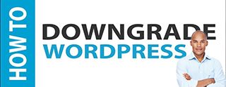 Downgrade to previous Wordpress version