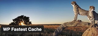 WP Fastest Cache review