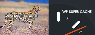 WP Fastest Cache vs WP Super Cache plug-ins comparison