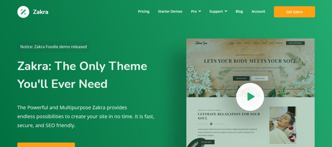 Zakra Theme review Zakra Theme review