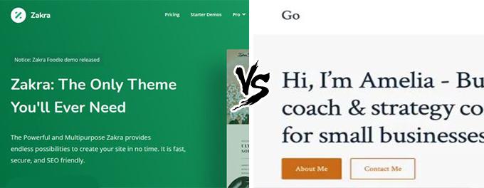 Zakra vs Go comparison Zakra vs Go